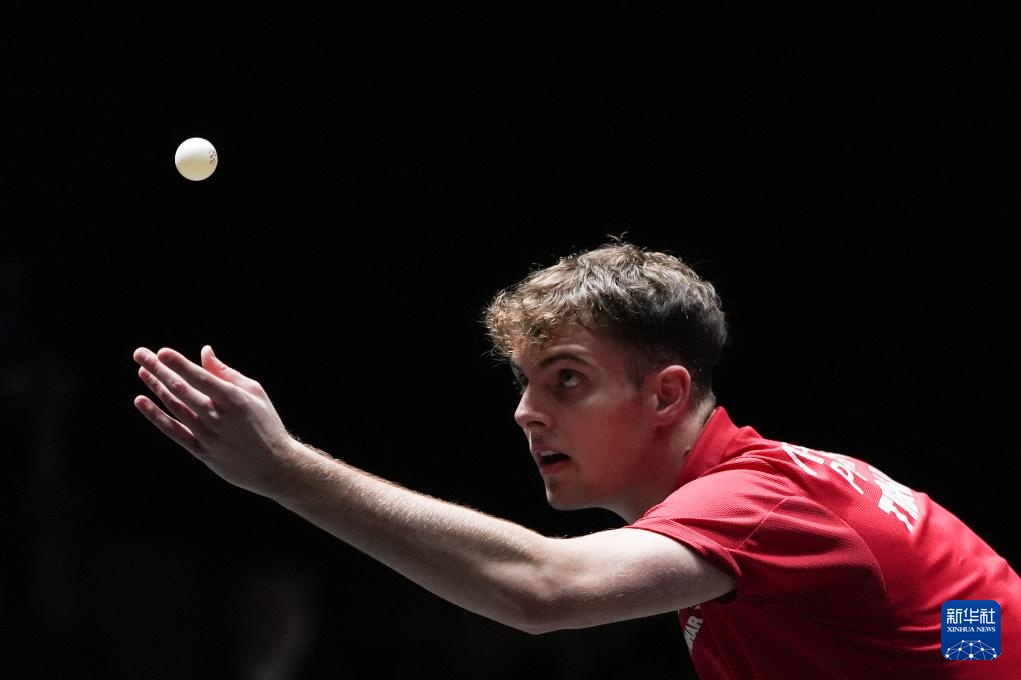 之间的情感 之间的情感