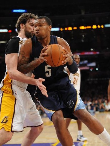 的重要组成 的重要组成