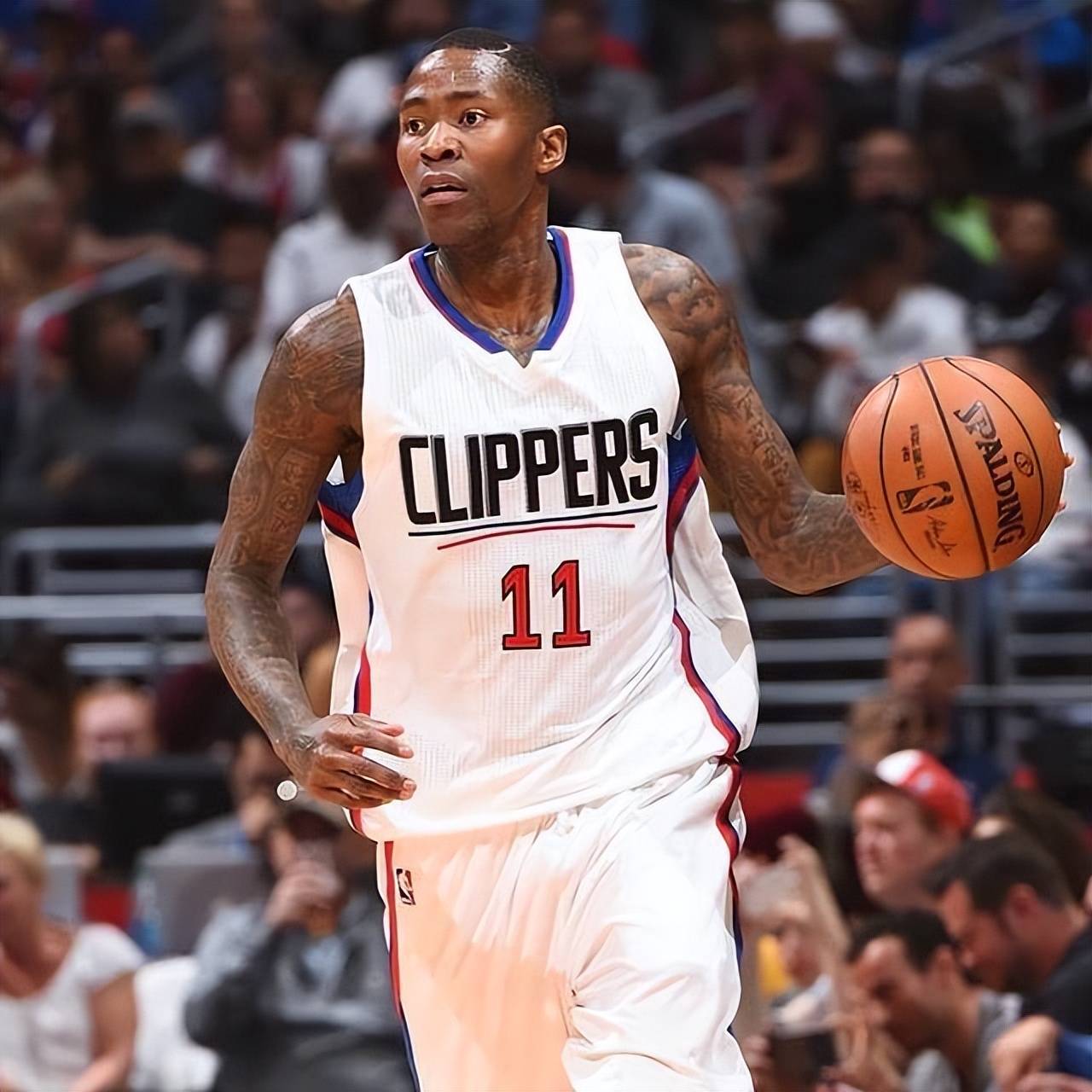 这种条款为 这种条款为