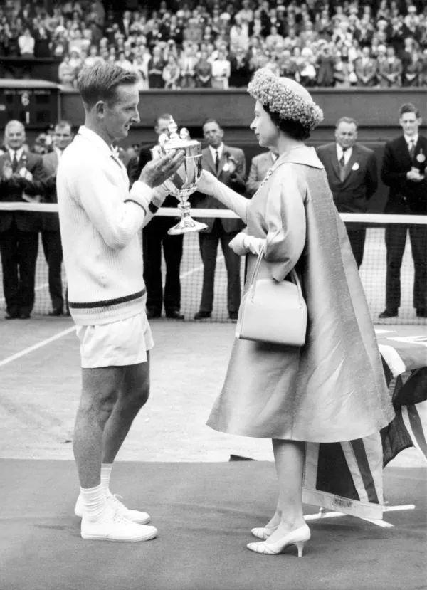 兰赢得了多 兰赢得了多