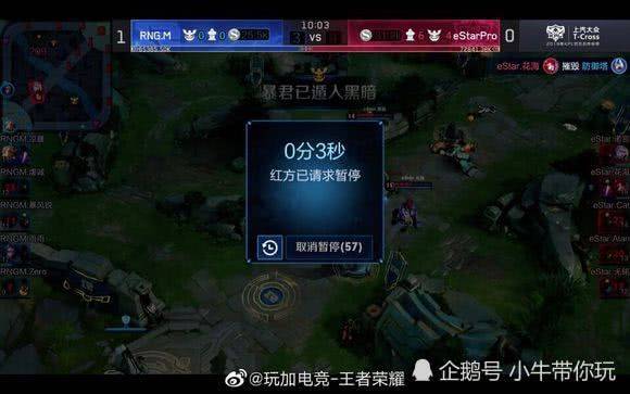 t发育